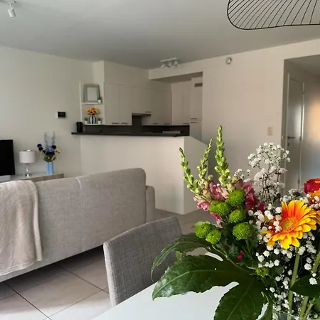 Meretmoi -- Modern In Apartamento *